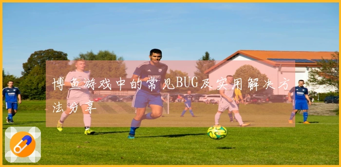 博鱼游戏中的常见BUG及实用解决方法分享