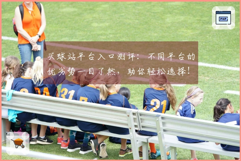 买球站平台入口测评：不同平台的优劣势一目了然，助你轻松选择！