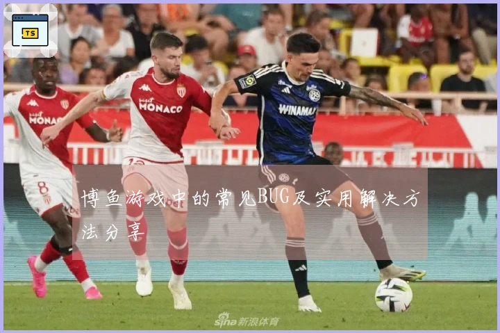 博鱼游戏中的常见BUG及实用解决方法分享