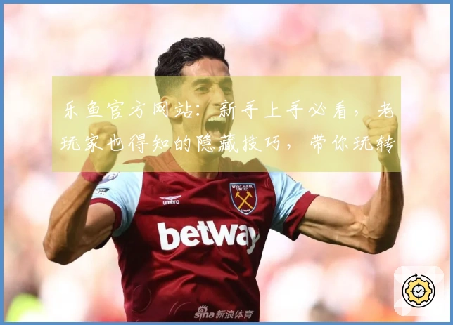 乐鱼官方网站：新手上手必看，老玩家也得知的隐藏技巧，带你玩转最新版本！